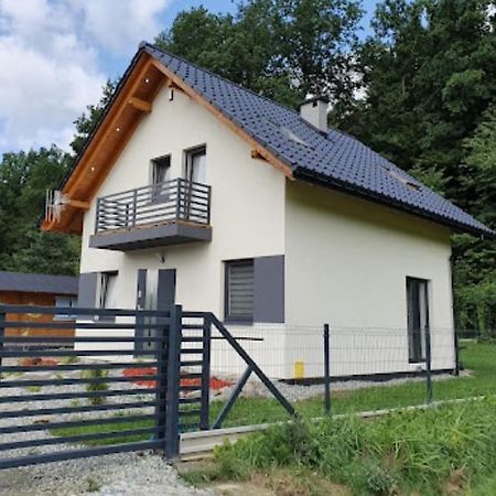 Leniowka Apartment Ponikiew  Exterior photo